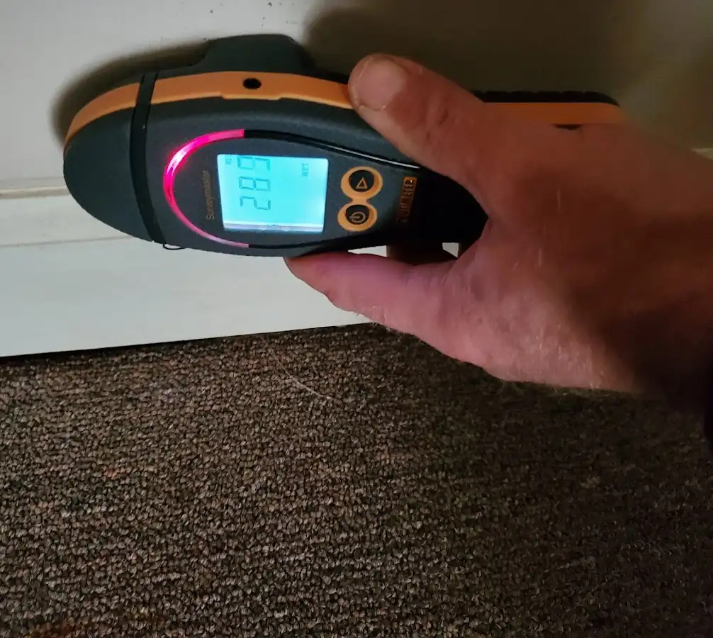 Moisture detection at baseboard during Sewage Cleanup & Sanitation in Green Valley